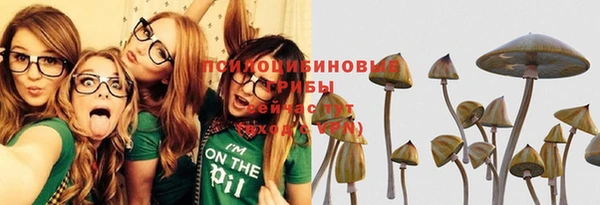 соль курить ск Абаза