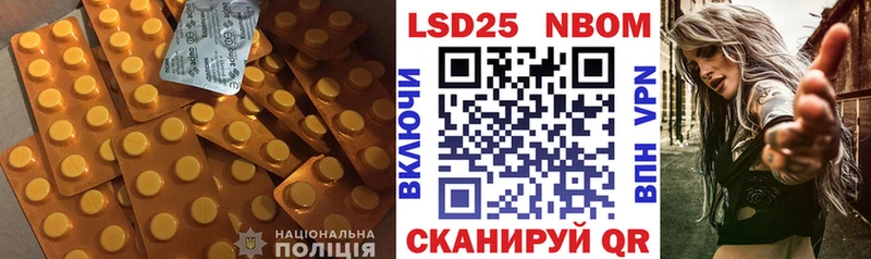 мориарти Telegram  kraken как зайти  Каменногорск  ЛСД экстази кислота 