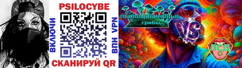 Галлюциногенные грибы Psilocybine cubensis Каменногорск